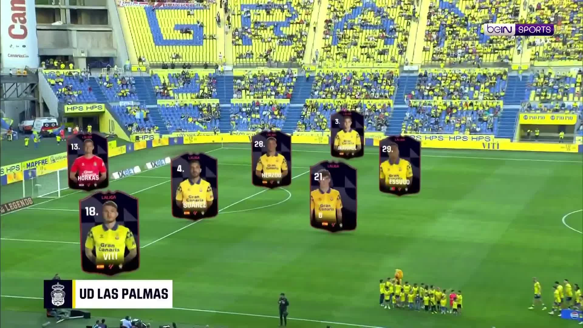 zaslepka skrotu video