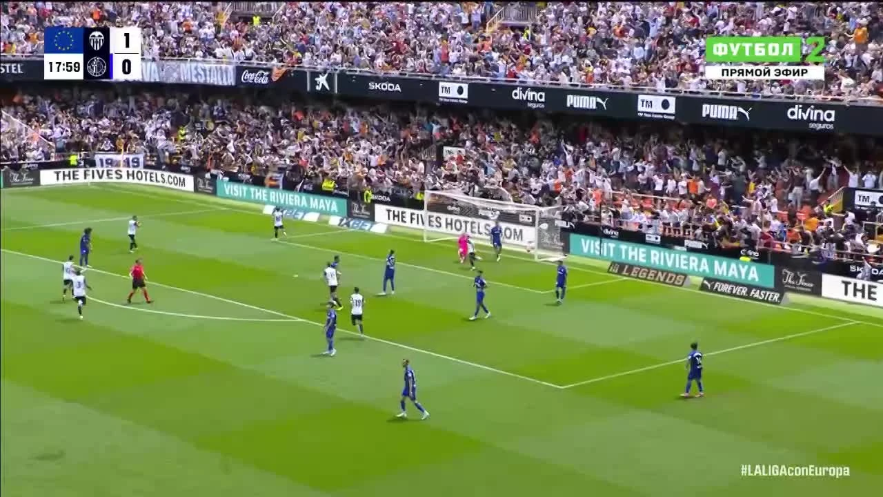 zaslepka skrotu video