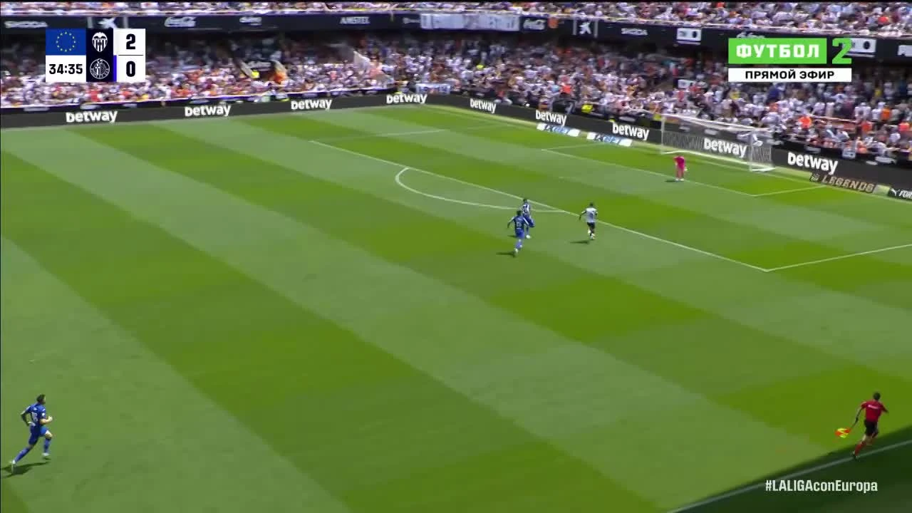 zaslepka skrotu video