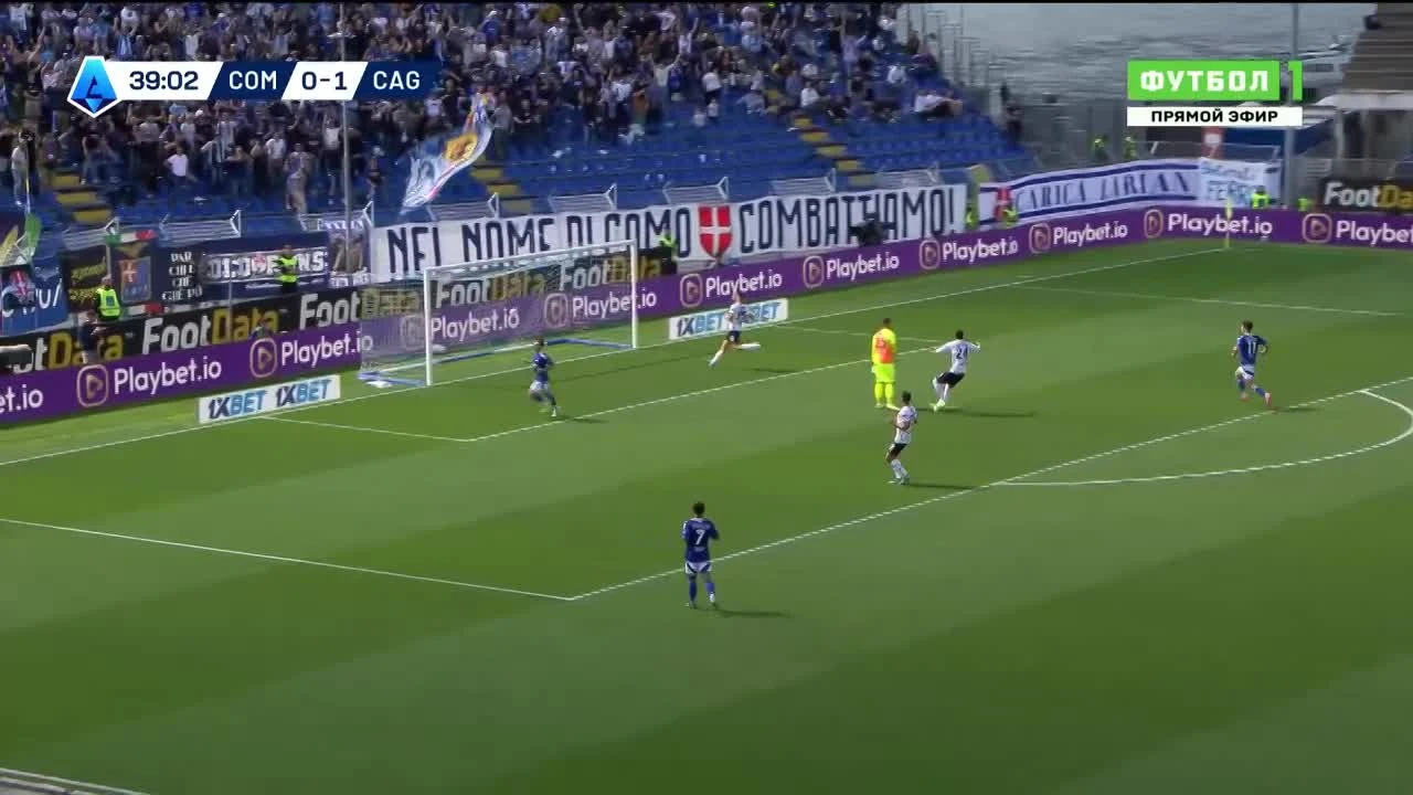 zaslepka skrotu video