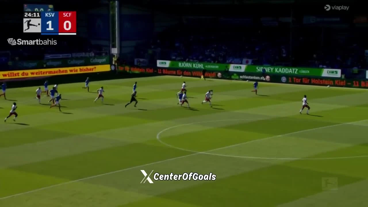 zaslepka skrotu video