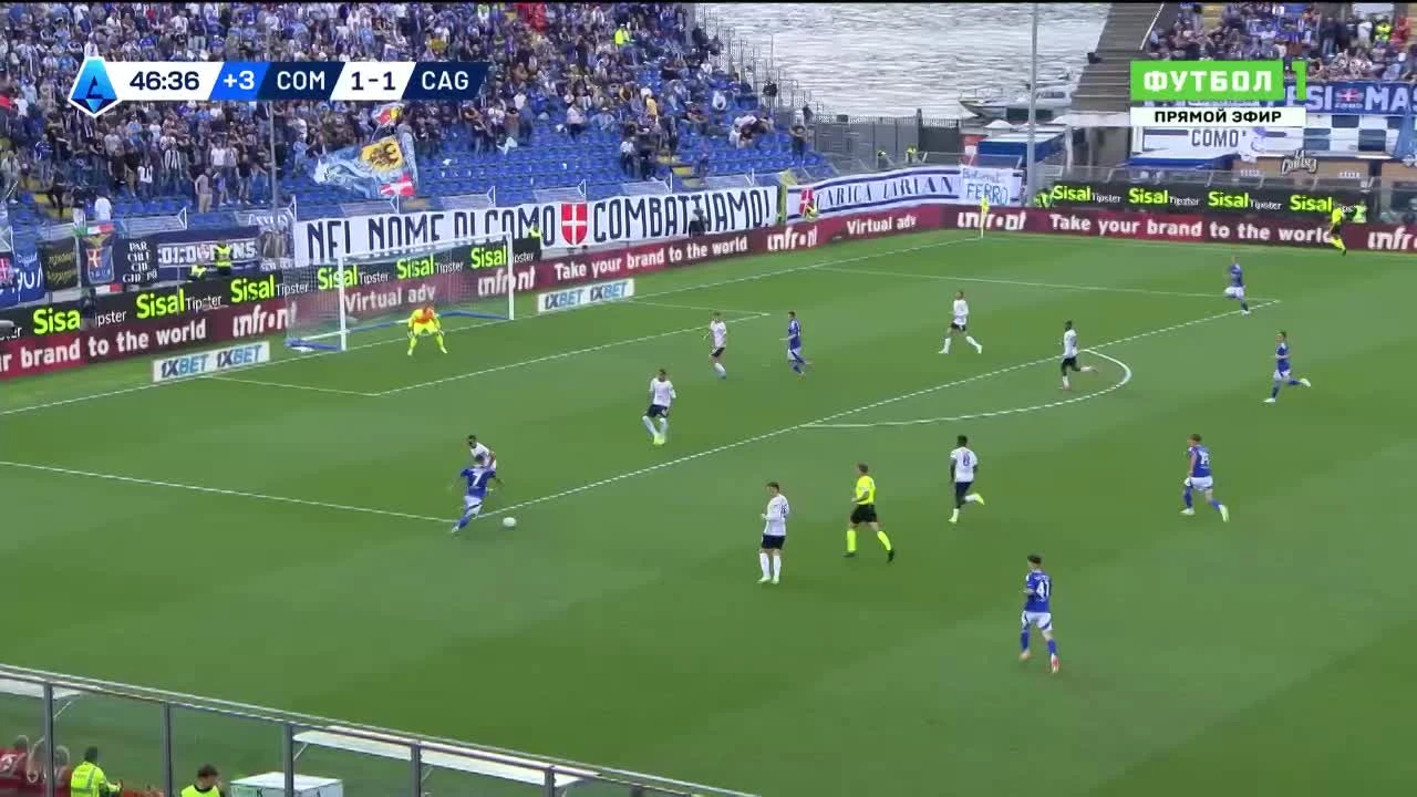 zaslepka skrotu video