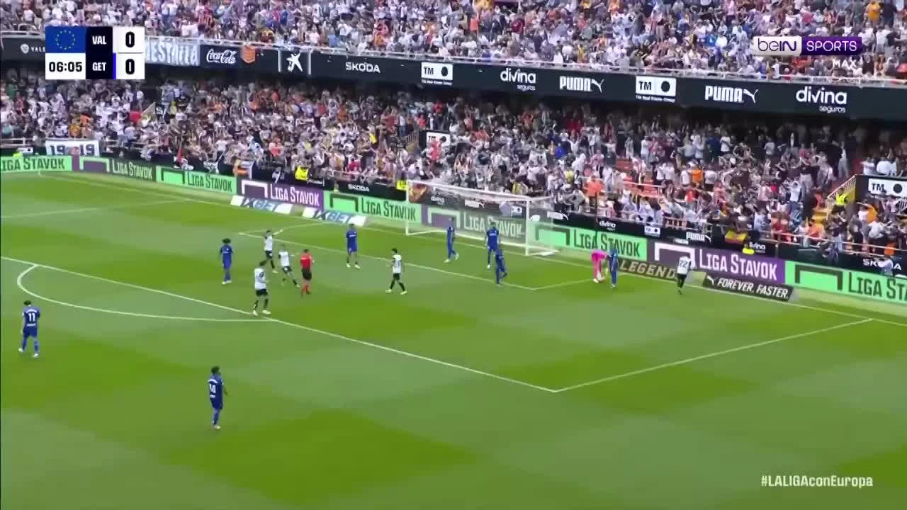 zaslepka skrotu video