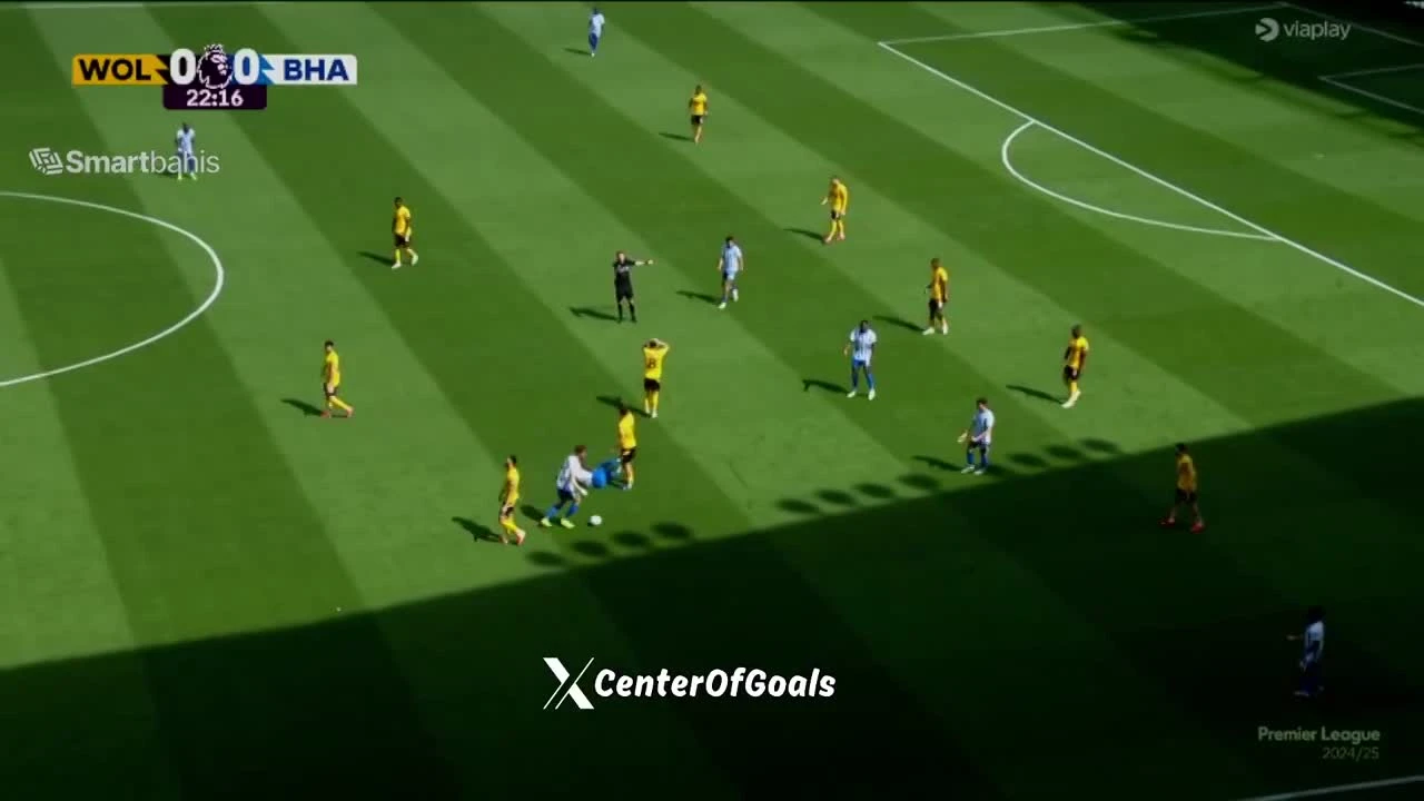 zaslepka skrotu video