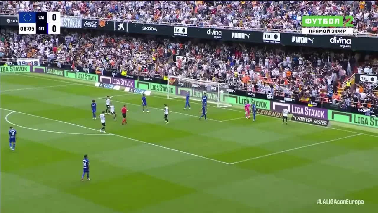 zaslepka skrotu video