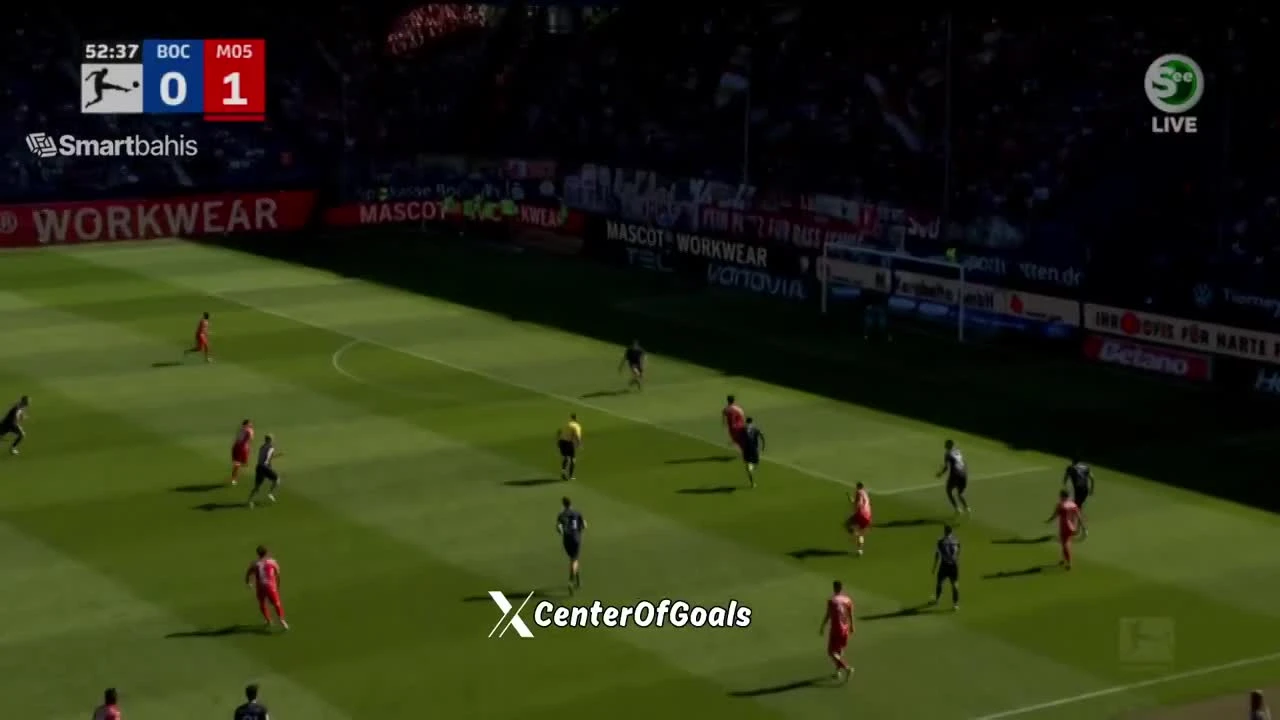 zaslepka skrotu video