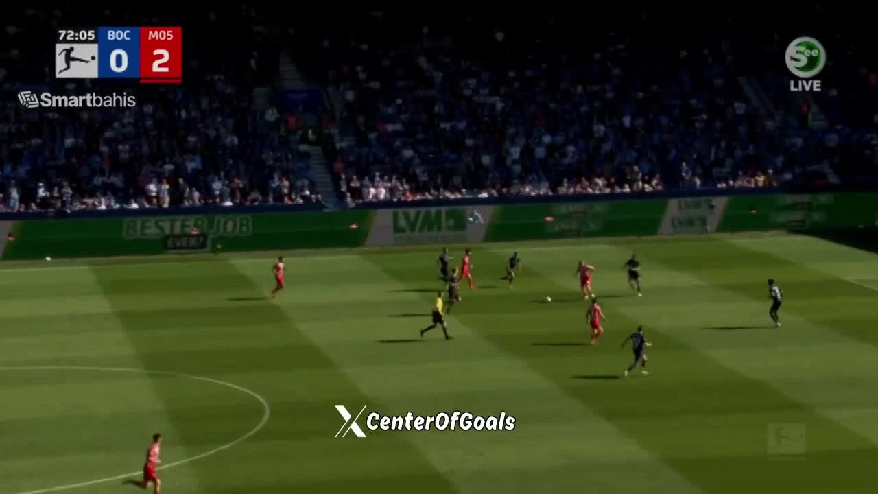 zaslepka skrotu video