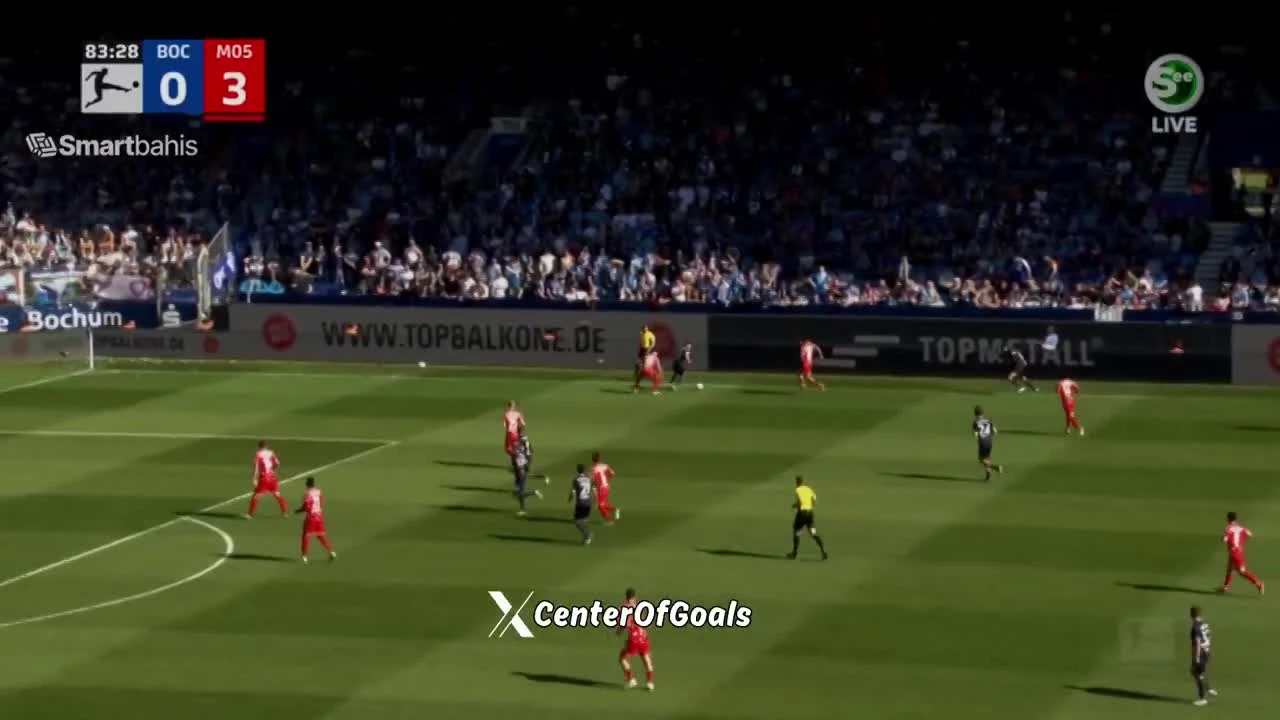 zaslepka skrotu video