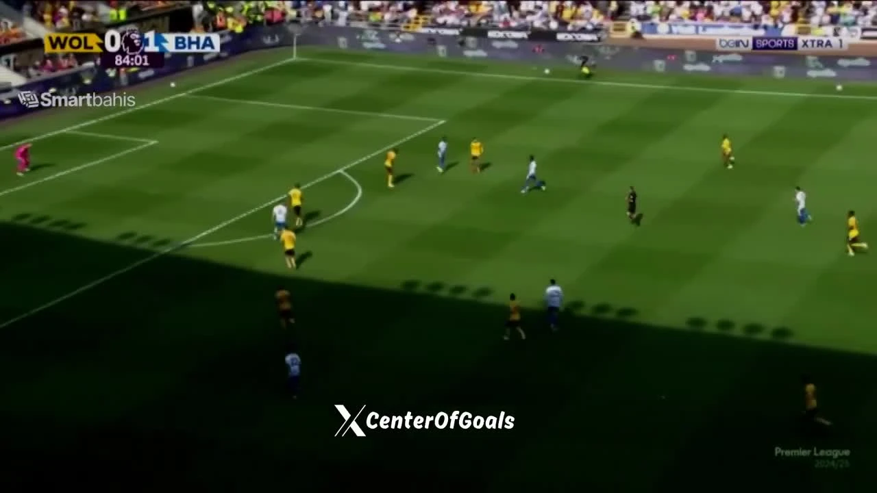 zaslepka skrotu video