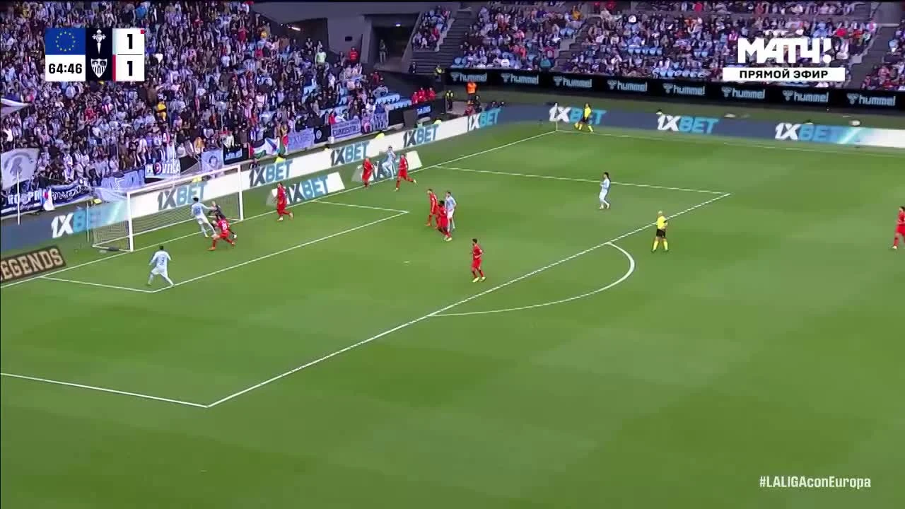 zaslepka skrotu video