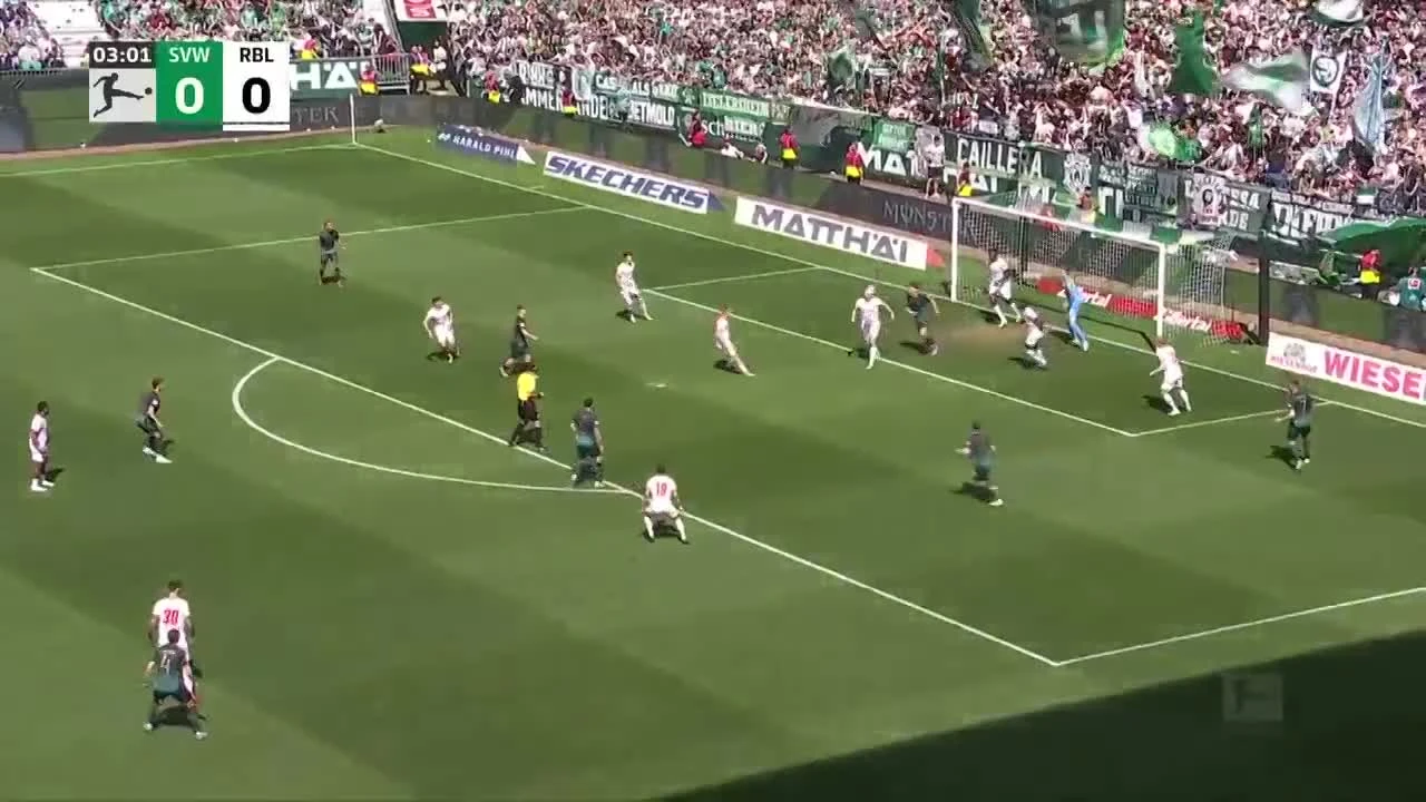 zaslepka skrotu video