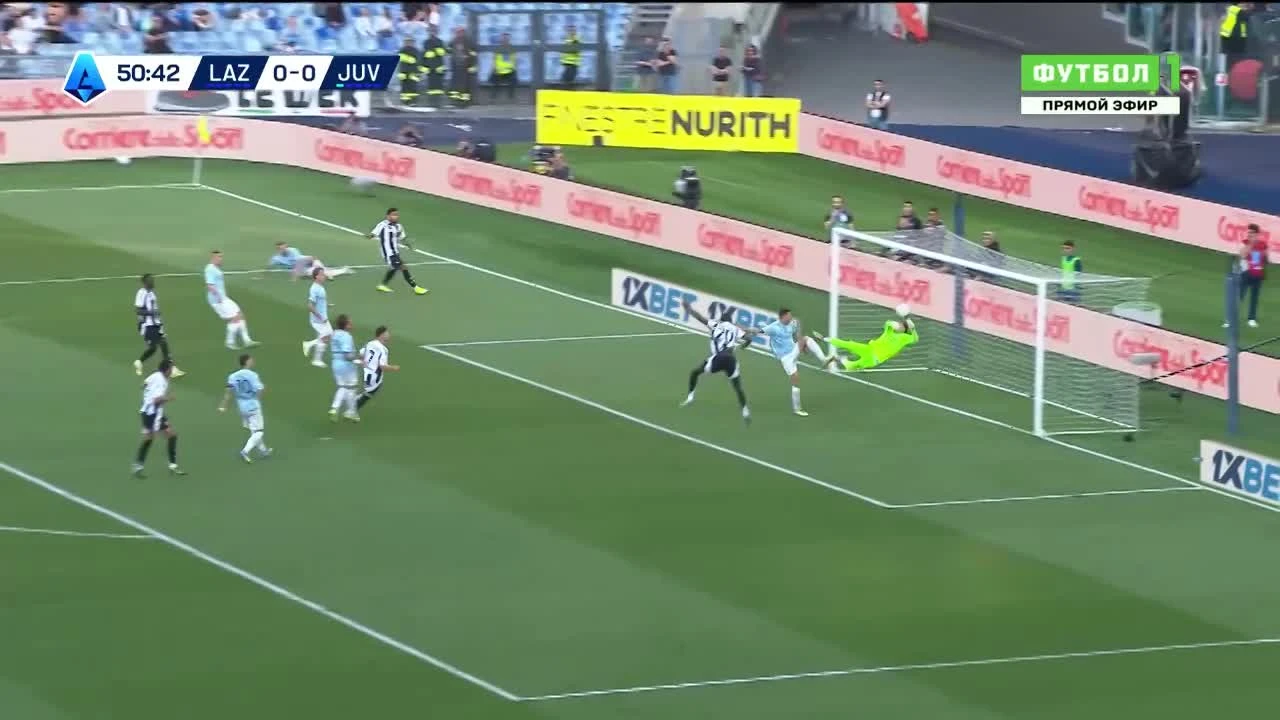 zaslepka skrotu video