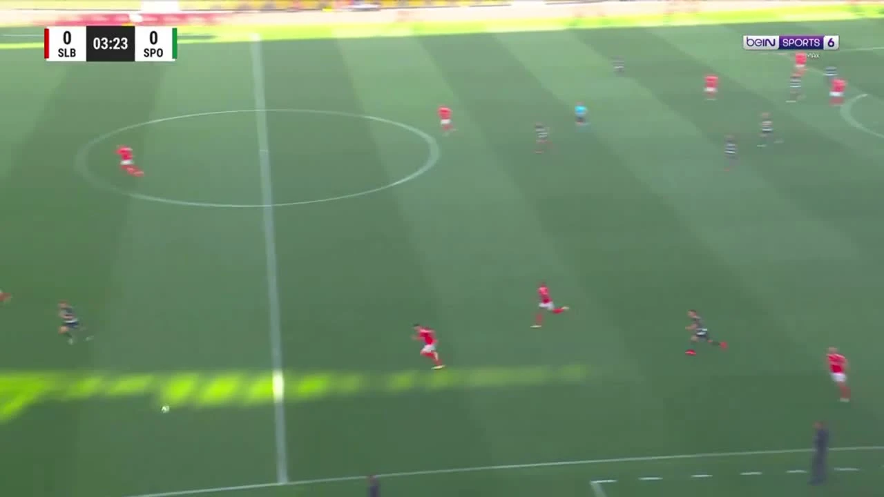 zaslepka skrotu video