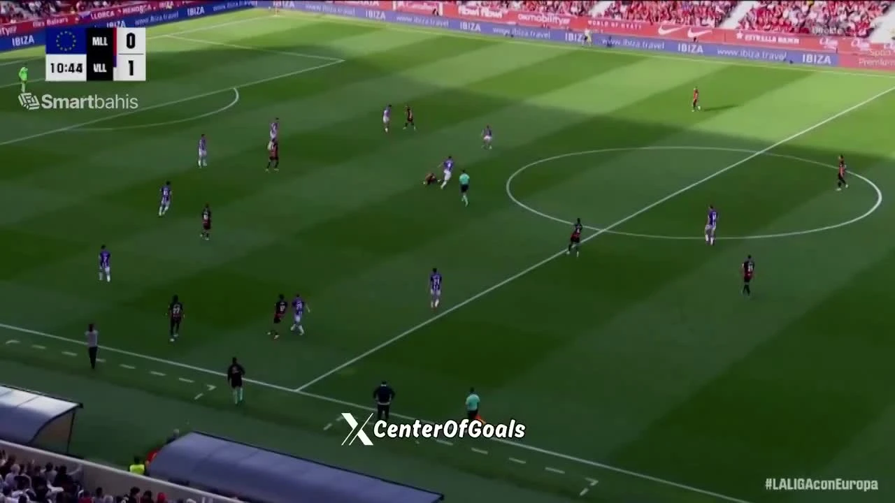 zaslepka skrotu video