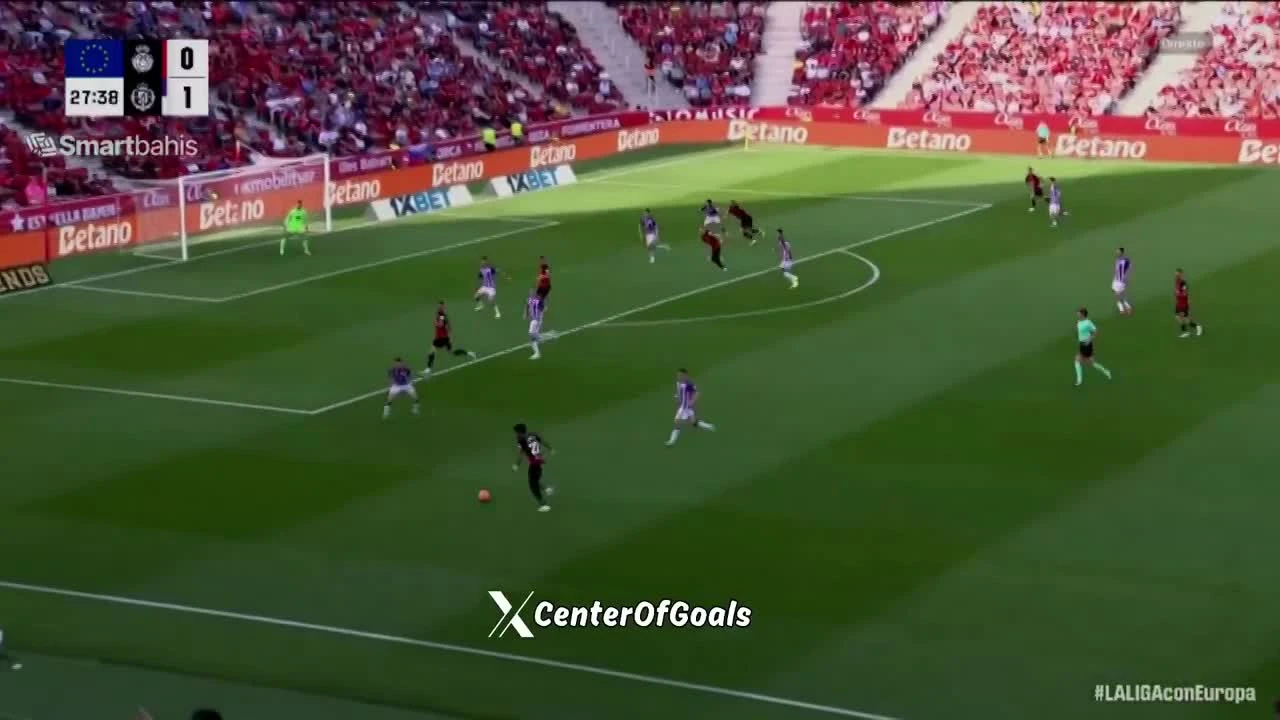zaslepka skrotu video