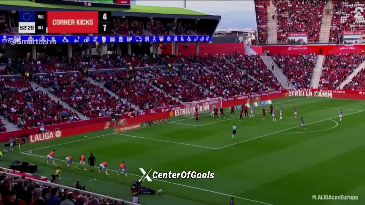 zaslepka skrotu video