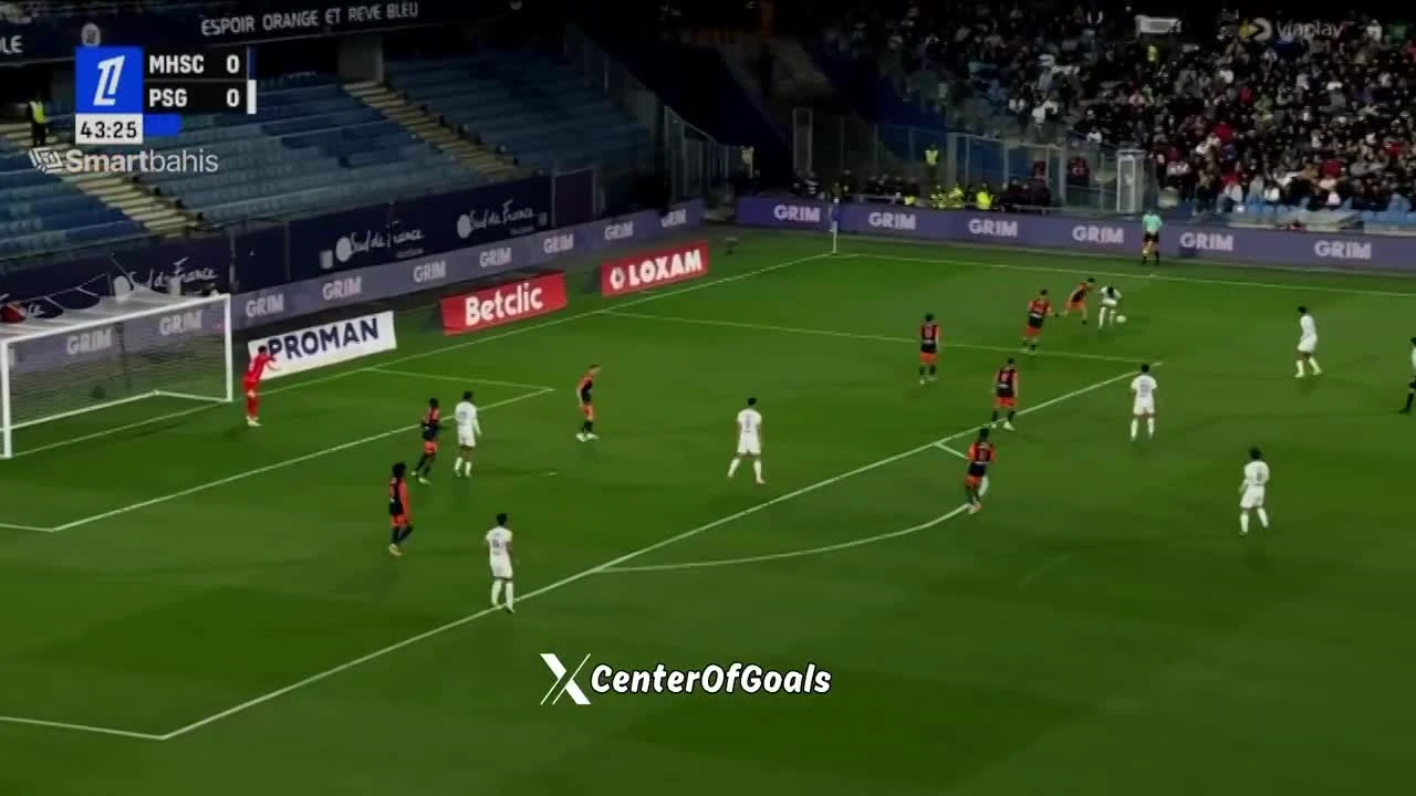 zaslepka skrotu video