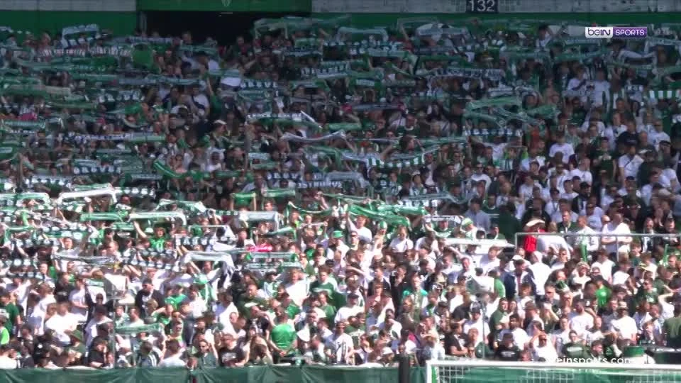 zaslepka skrotu video