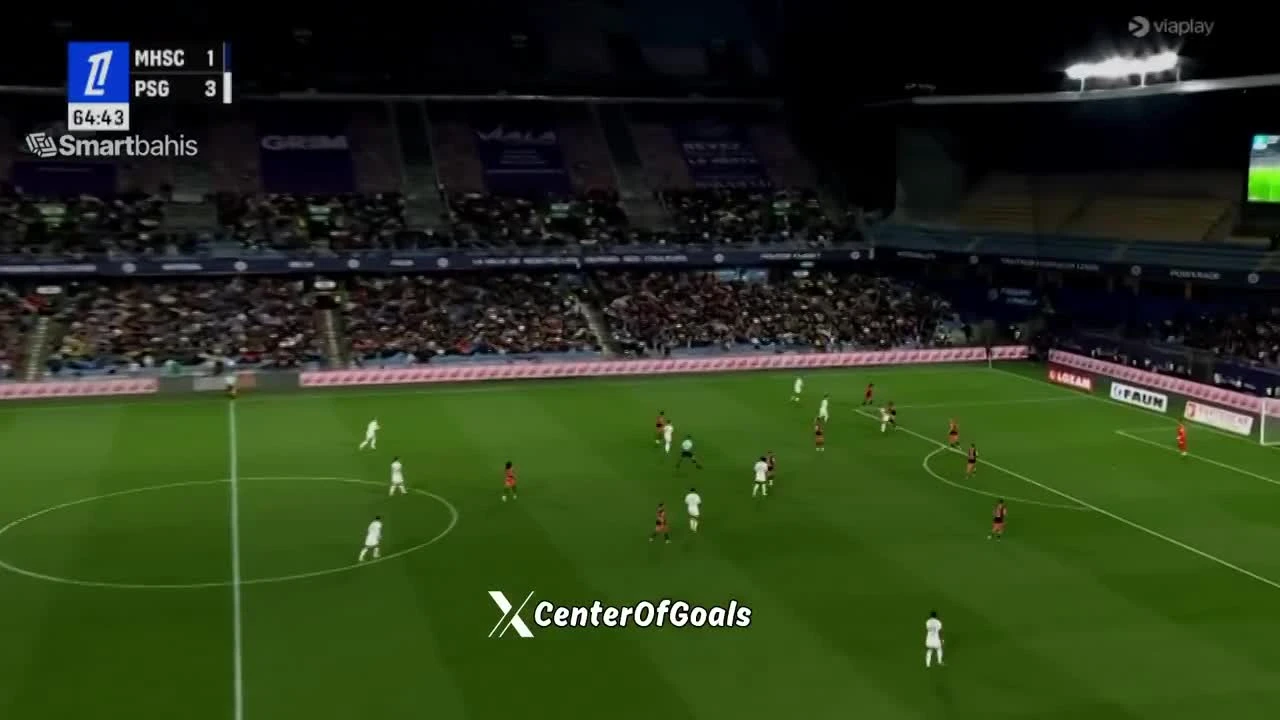 zaslepka skrotu video
