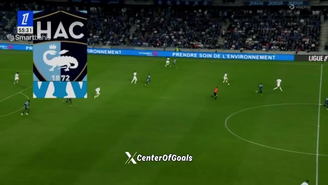 zaslepka skrotu video