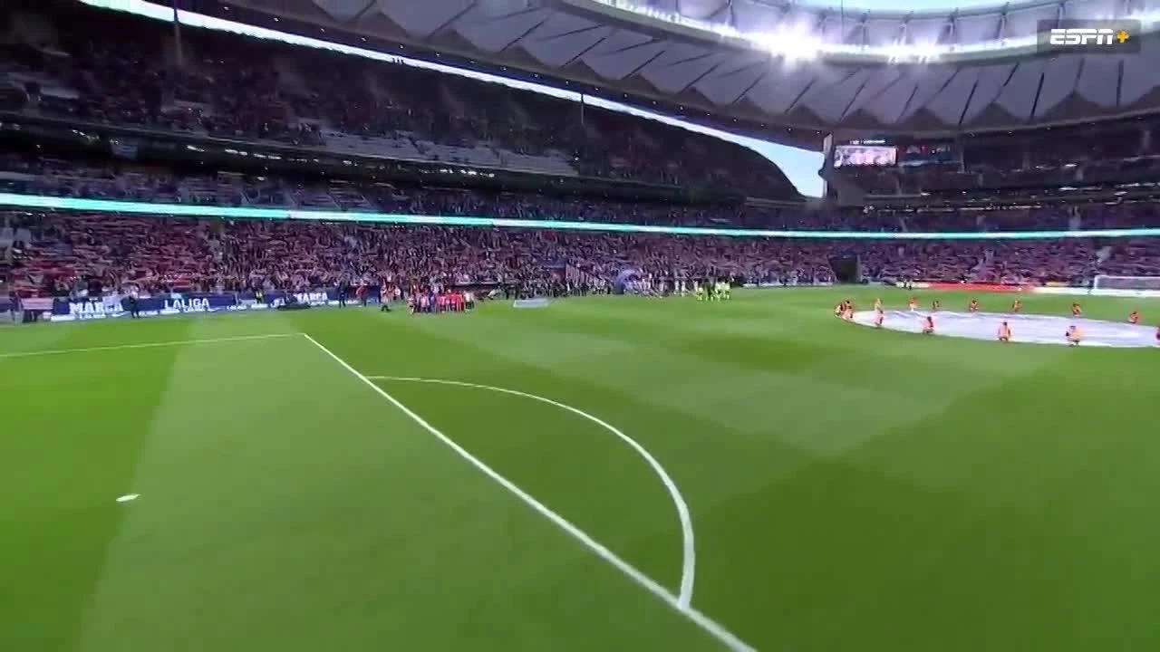 zaslepka skrotu video