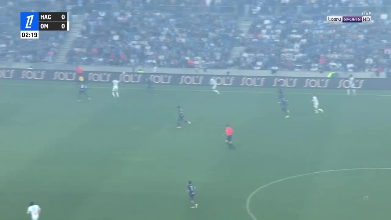 zaslepka skrotu video