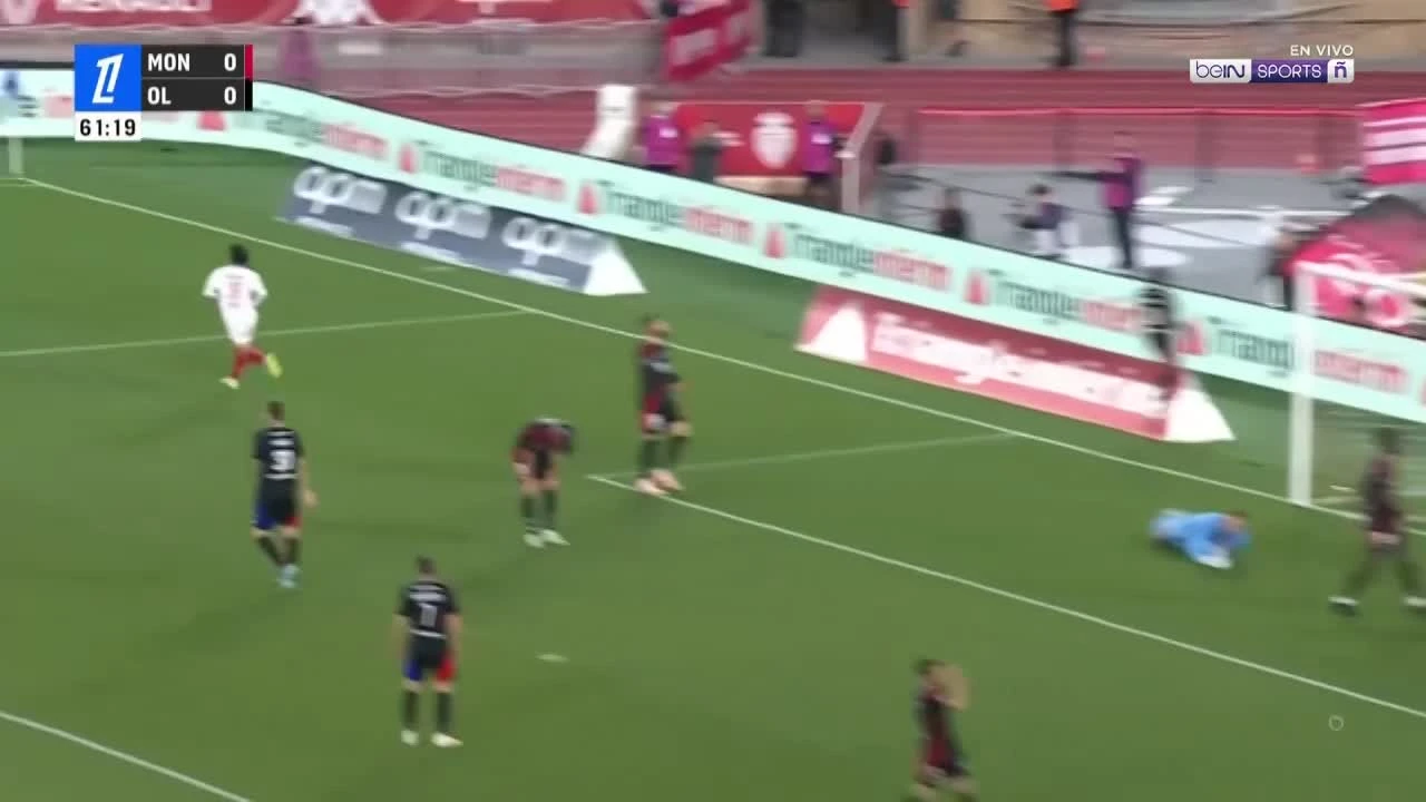zaslepka skrotu video