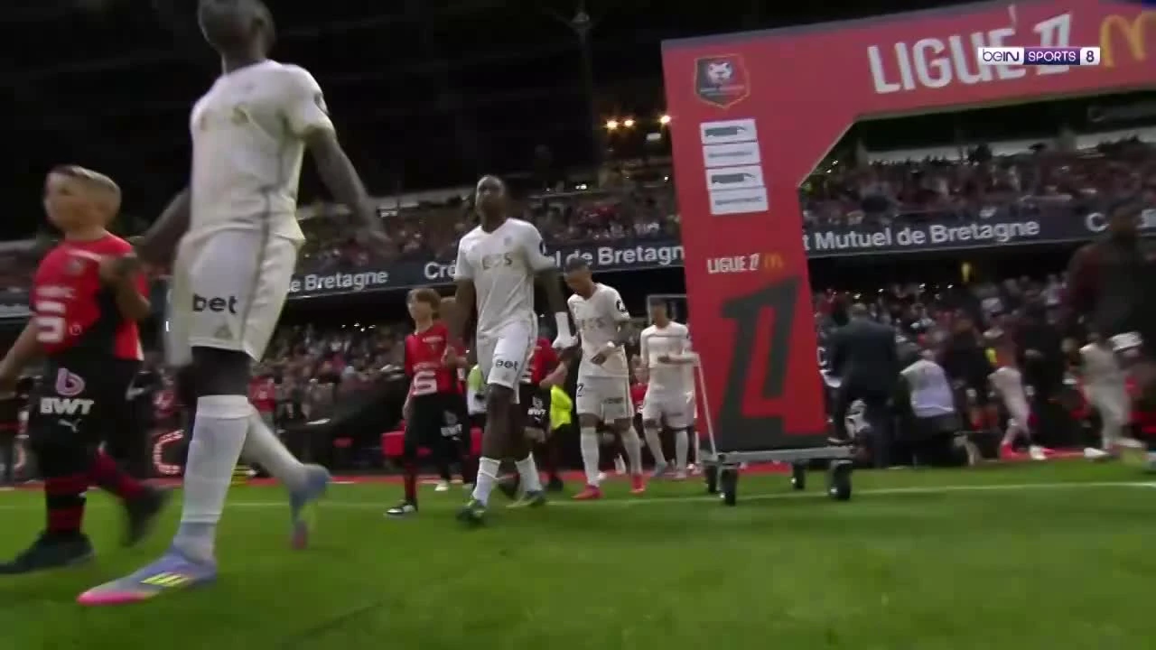 zaslepka skrotu video