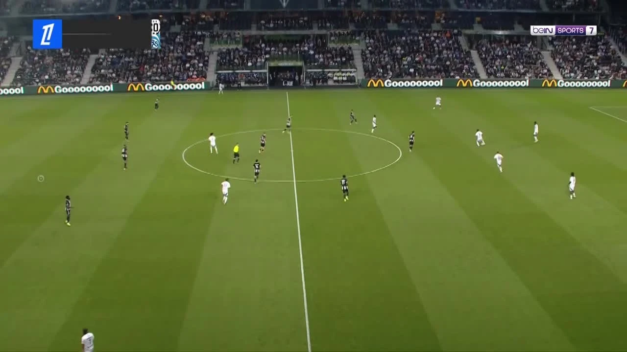 zaslepka skrotu video