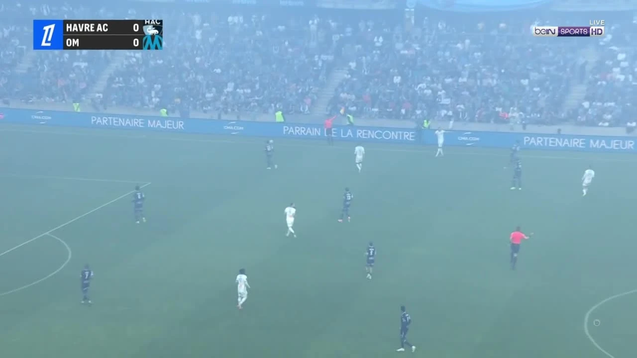 zaslepka skrotu video