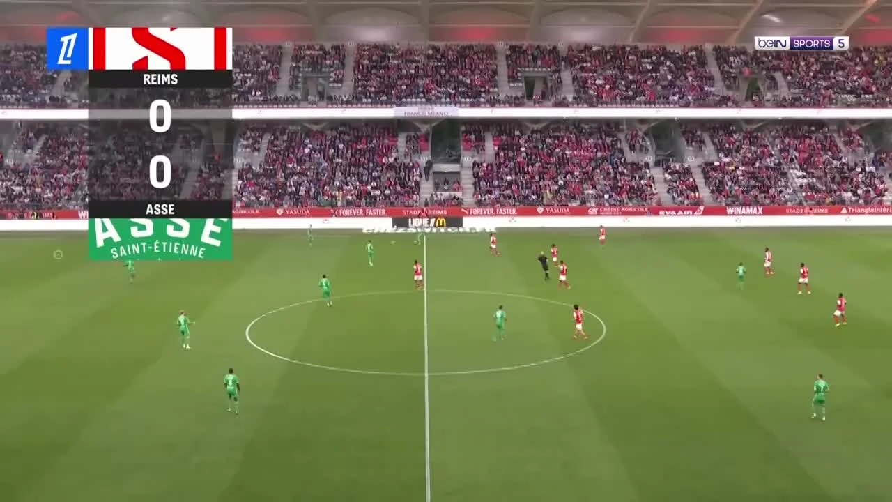 zaslepka skrotu video