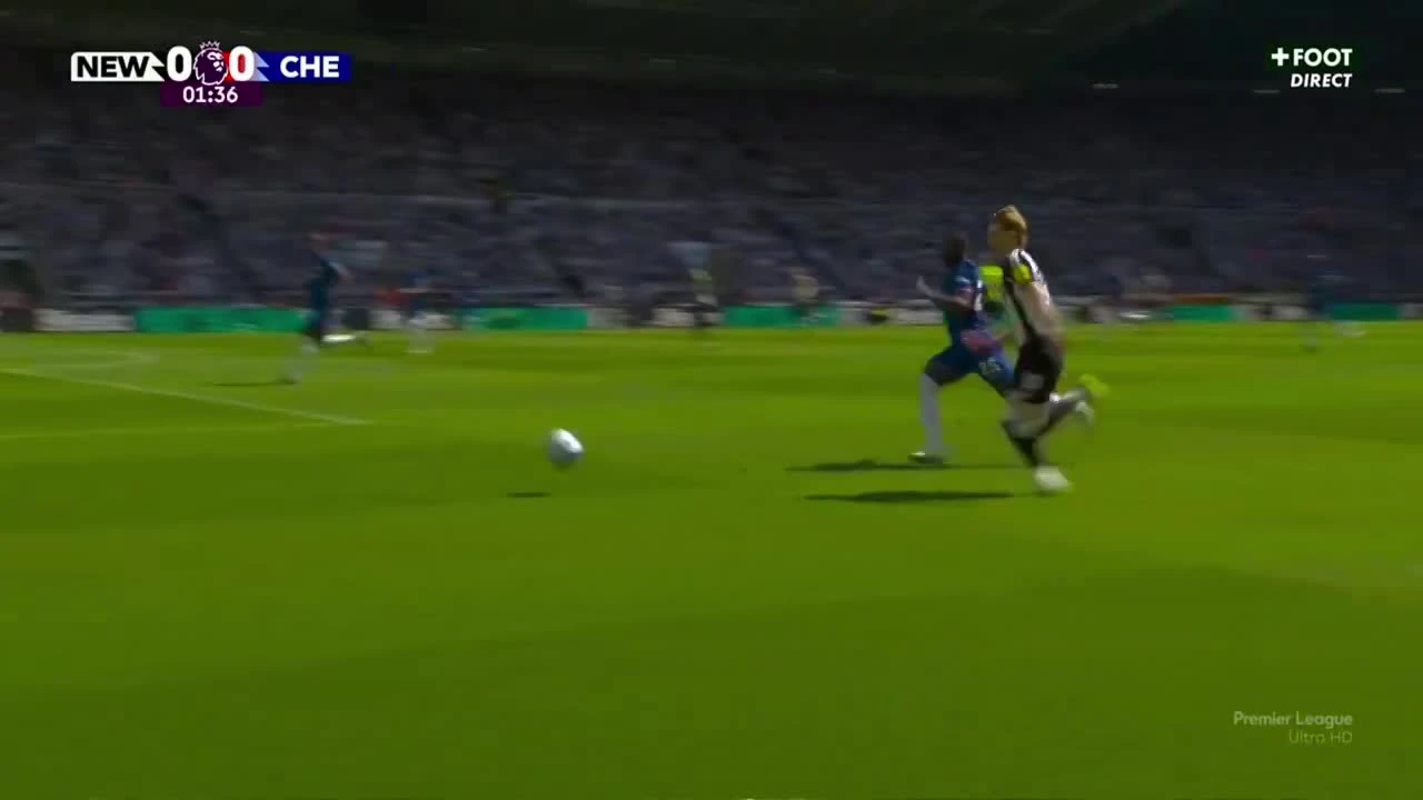 zaslepka skrotu video