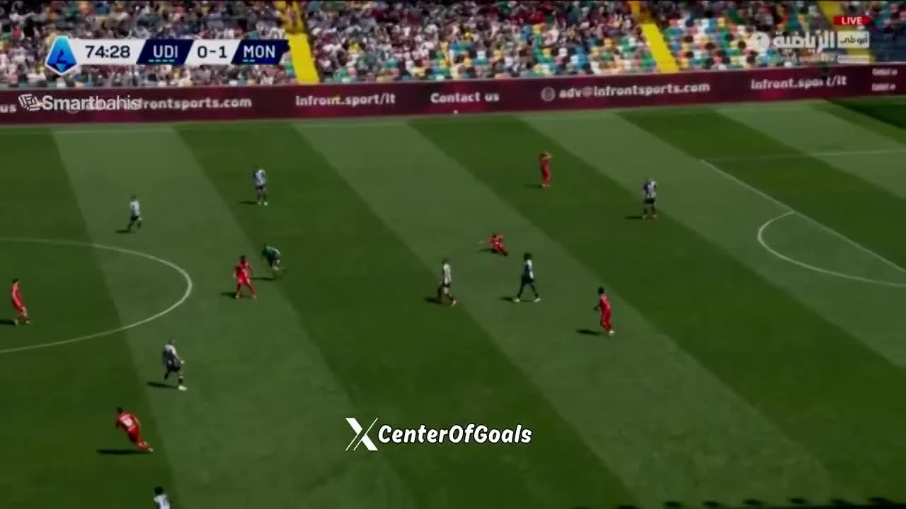 zaslepka skrotu video