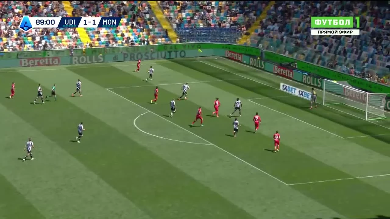 zaslepka skrotu video