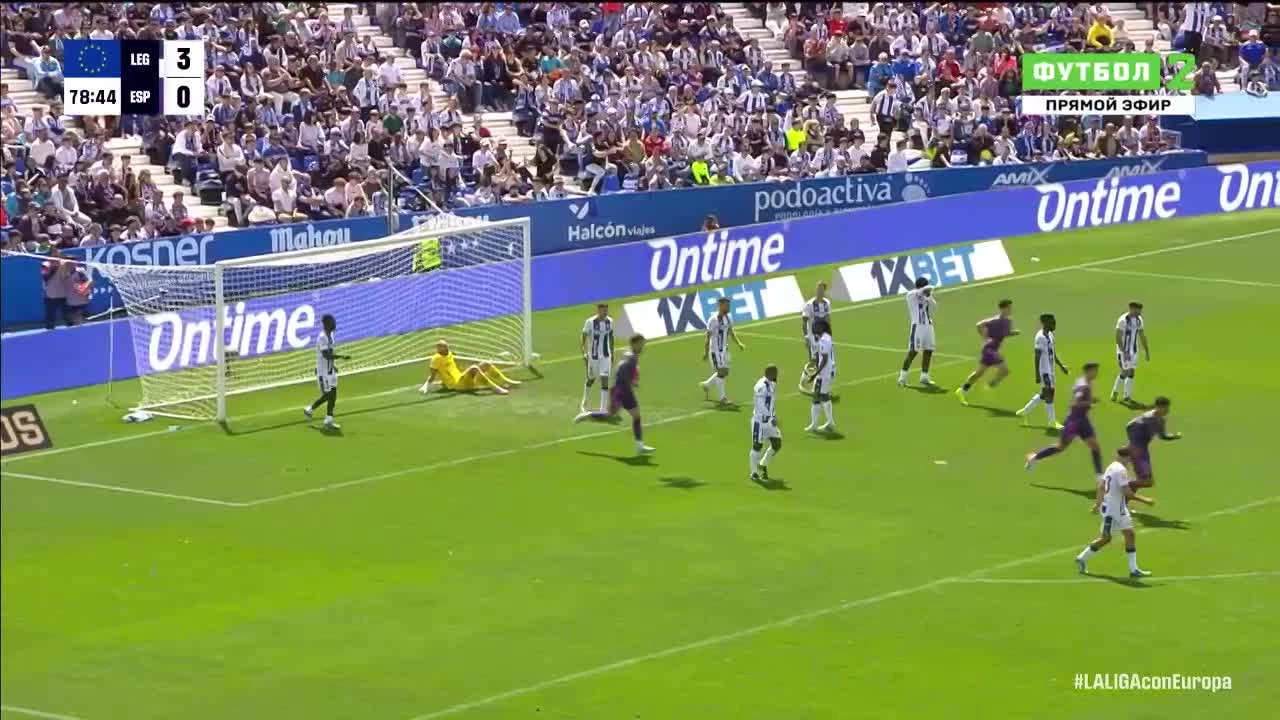 zaslepka skrotu video