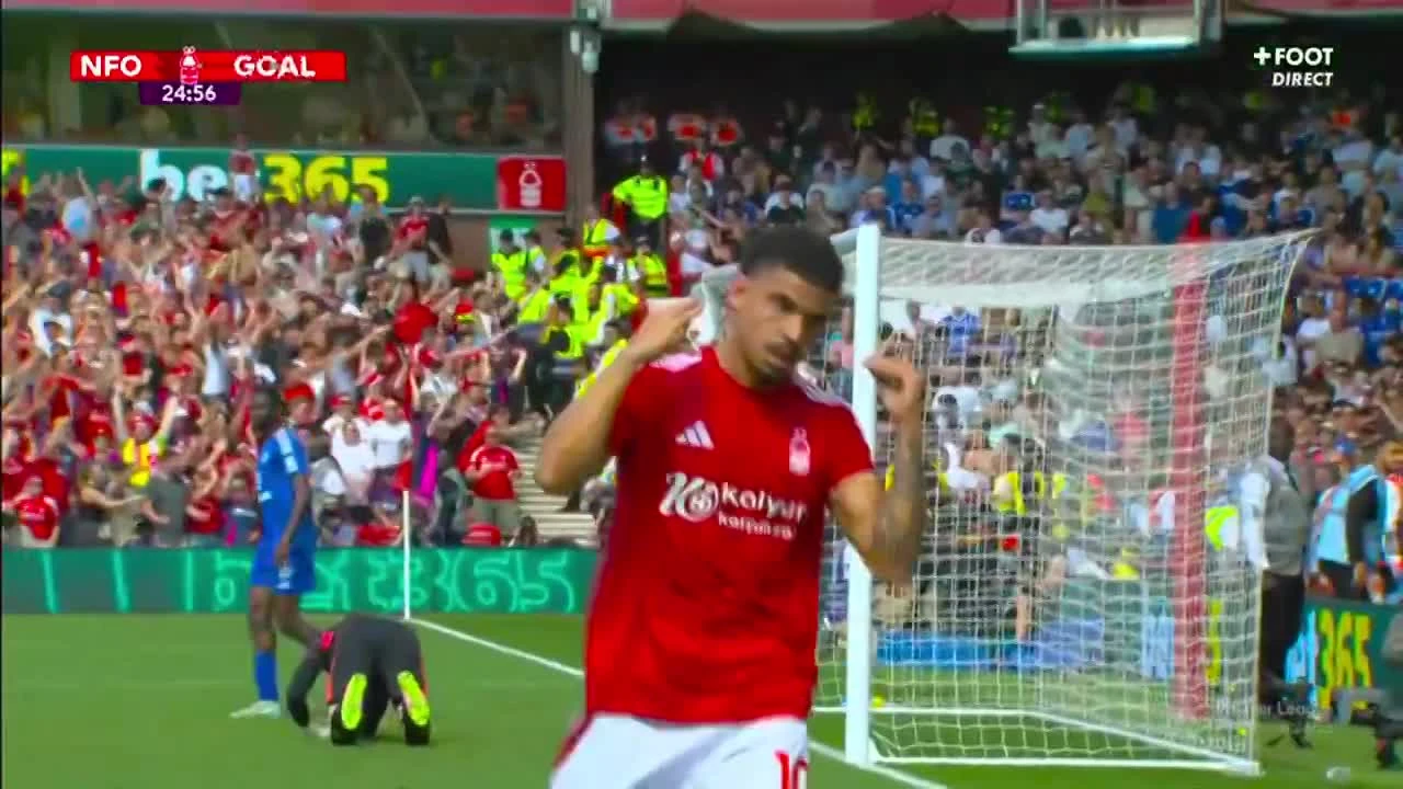 zaslepka skrotu video