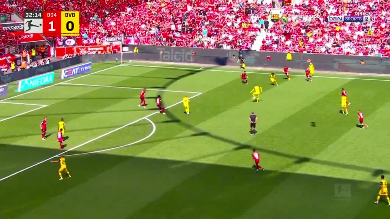zaslepka skrotu video