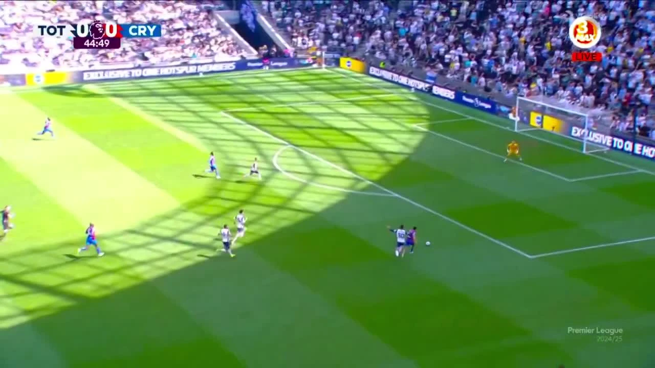 zaslepka skrotu video