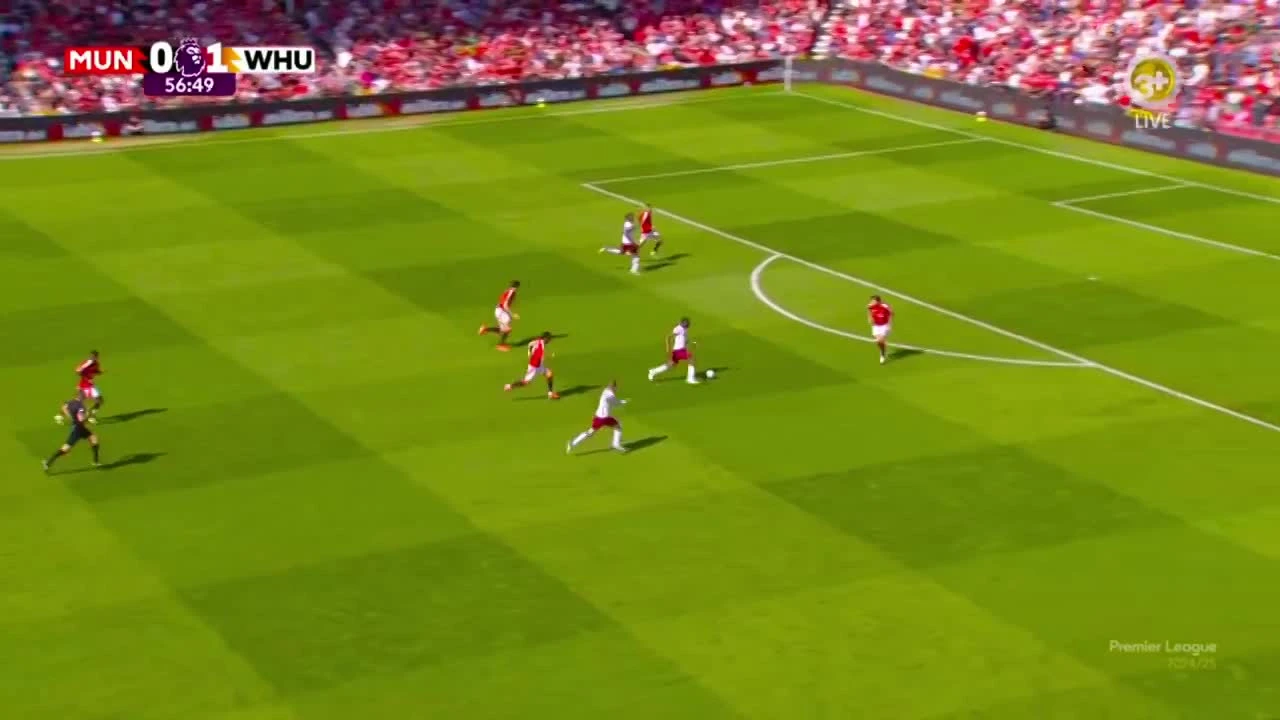 zaslepka skrotu video