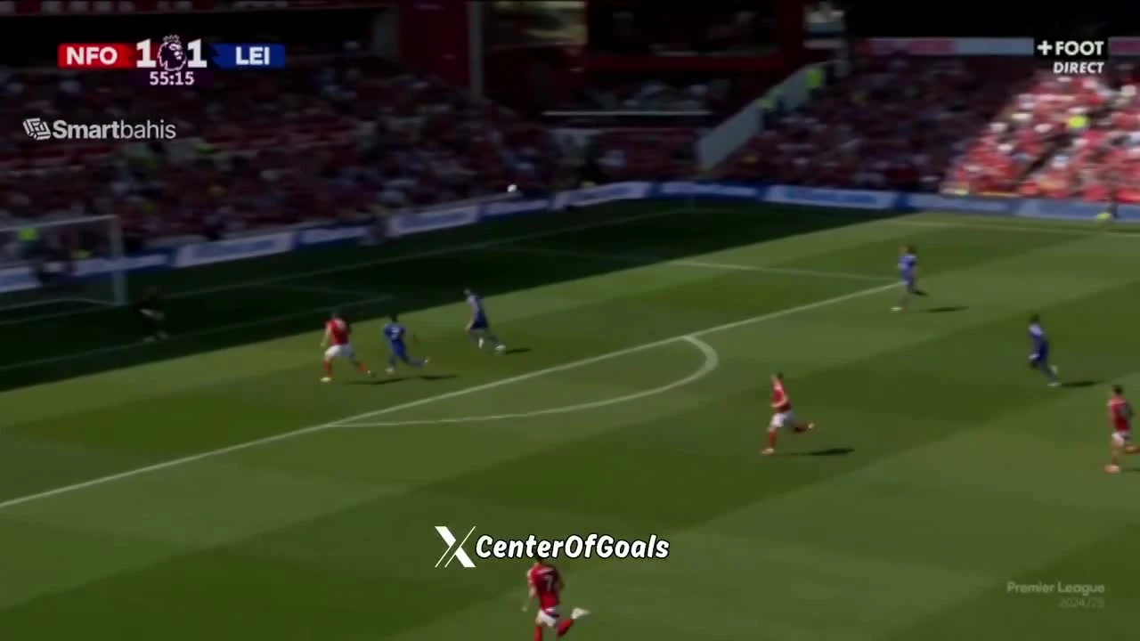 zaslepka skrotu video