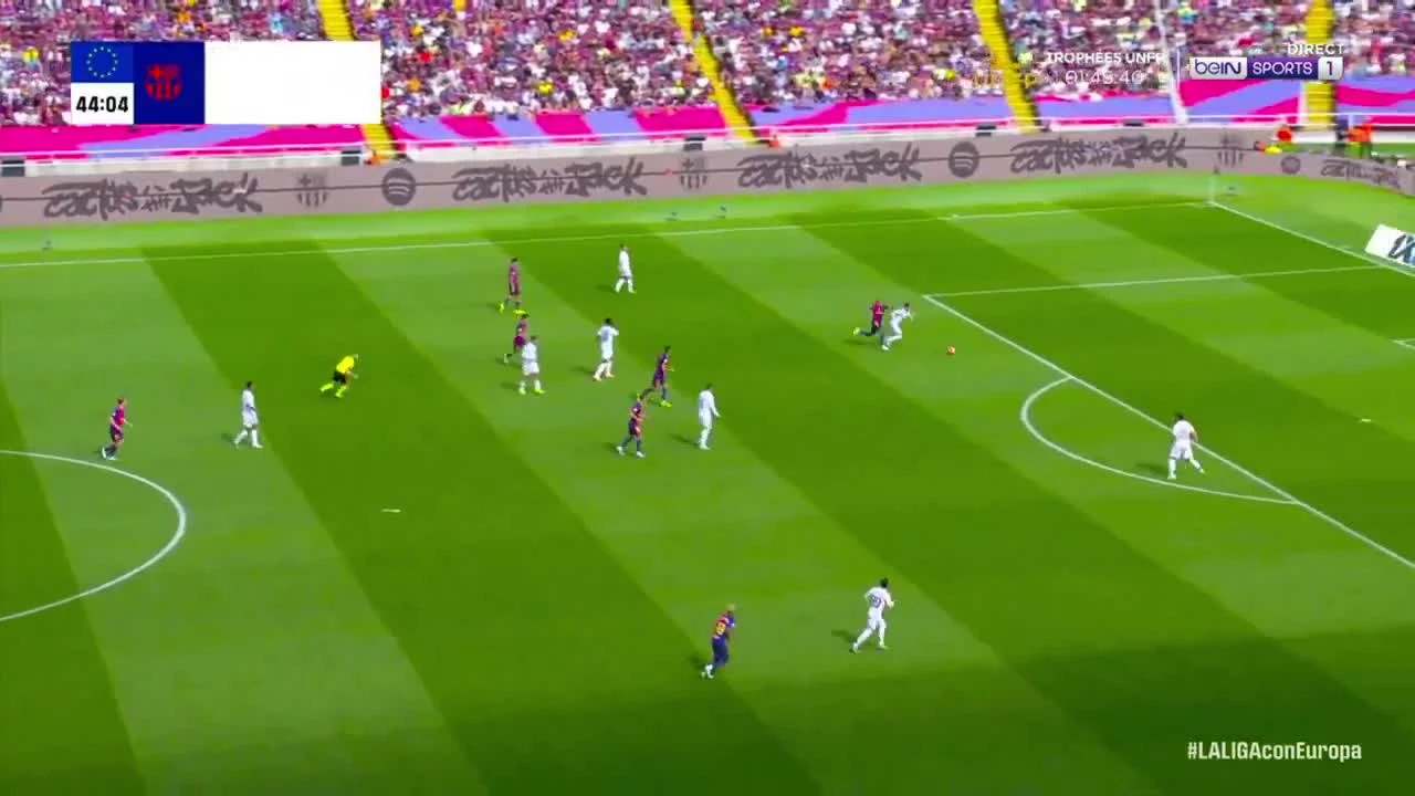 zaslepka skrotu video