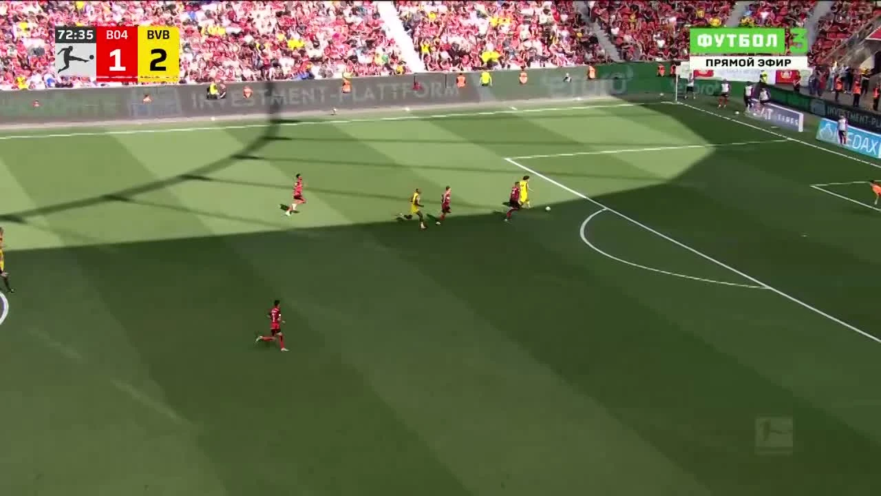 zaslepka skrotu video