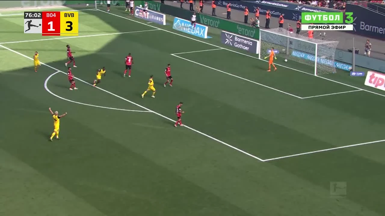 zaslepka skrotu video