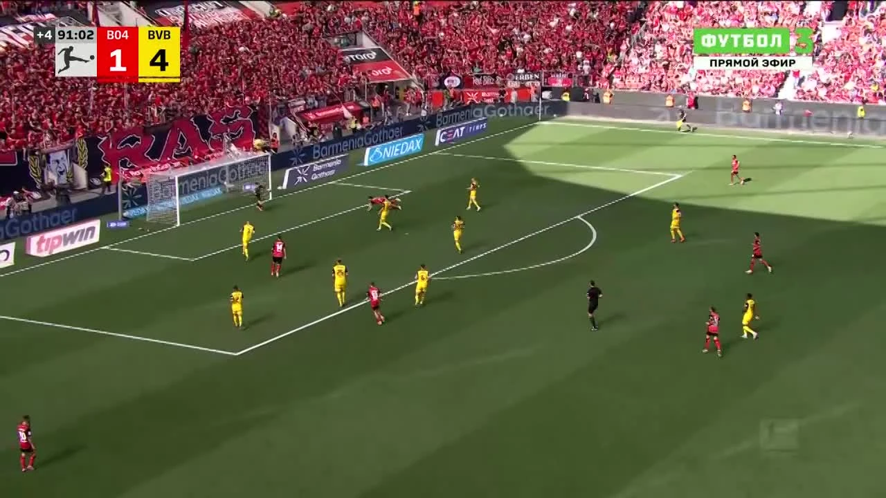zaslepka skrotu video