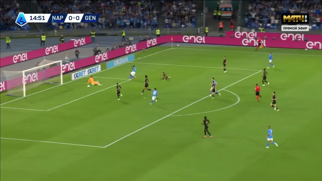 zaslepka skrotu video