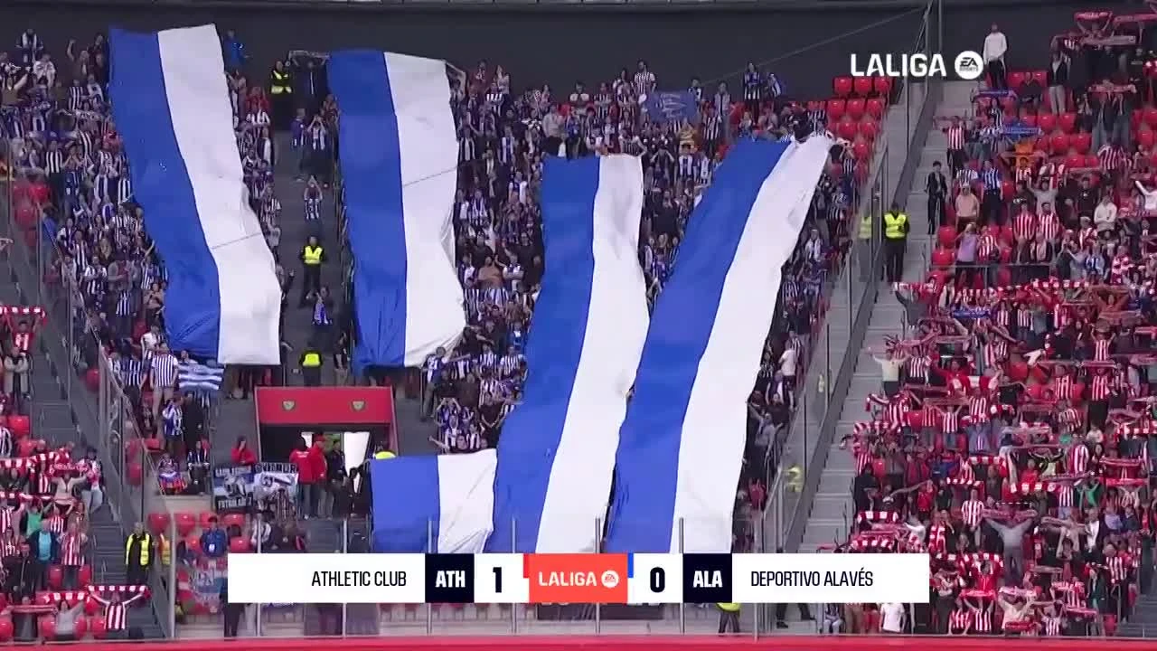 zaslepka skrotu video