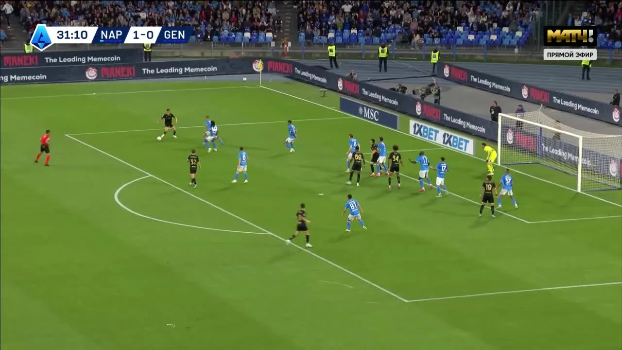 zaslepka skrotu video