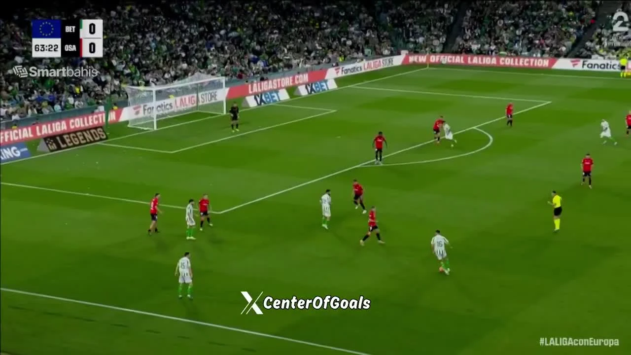 zaslepka skrotu video
