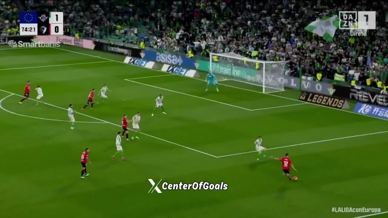 zaslepka skrotu video