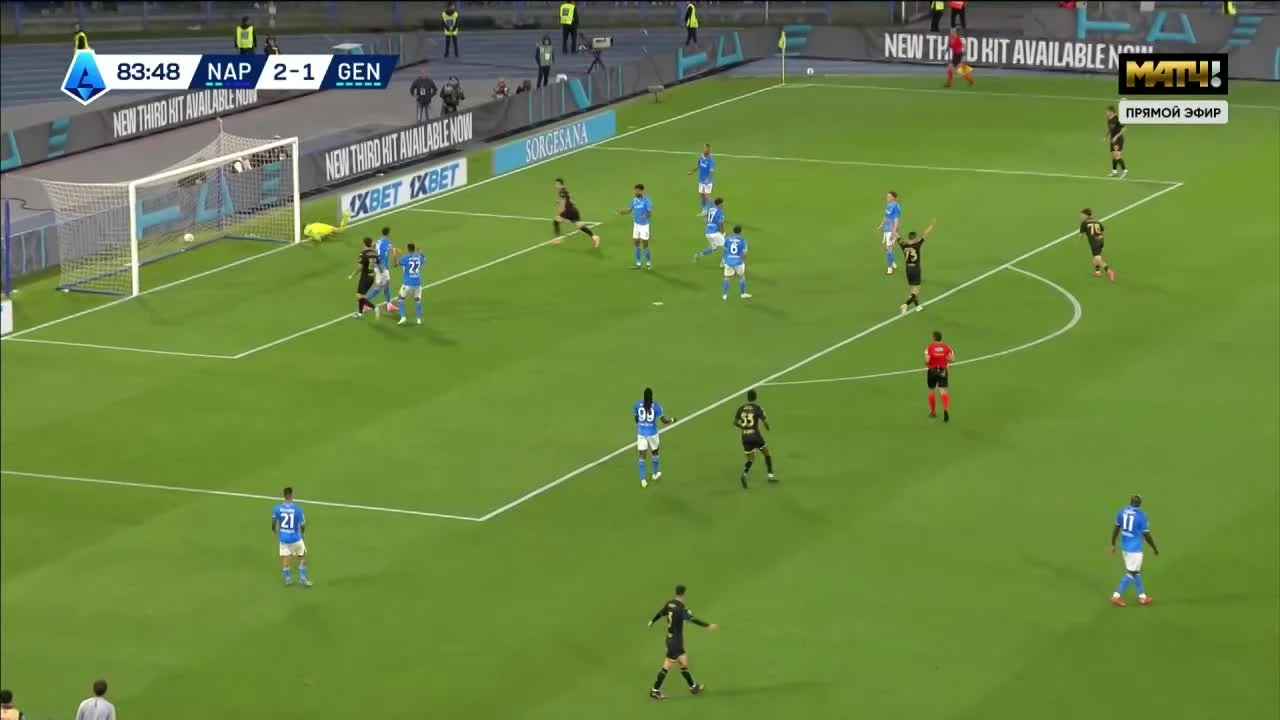 zaslepka skrotu video